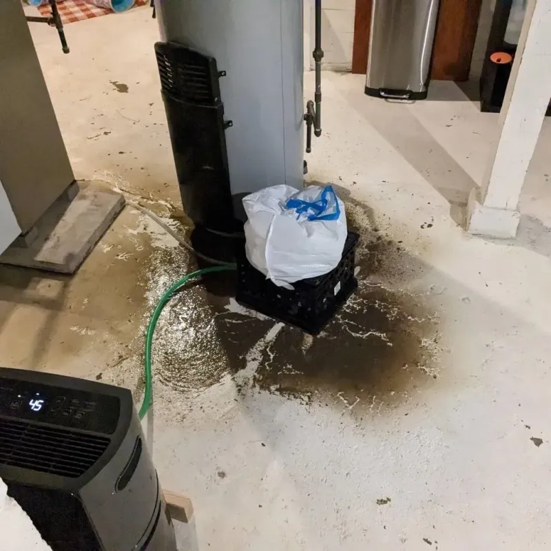 Sewage Backup Cleanup Service in Providence County, RI